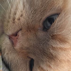 Meet your Posher, Bethany